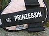 Swarovski-Edition