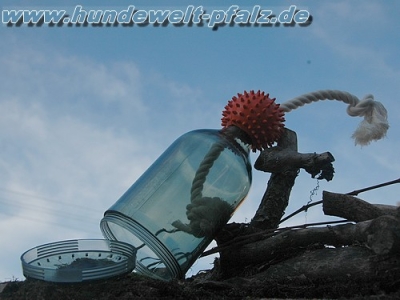 Hundespielzeug Snack Bottle