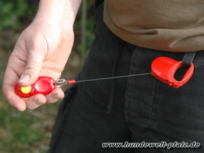 Clicker Zinger Mini-Flexileine mit Befestigungsclip