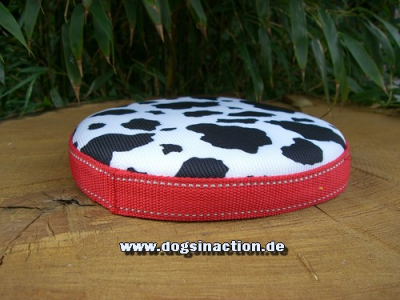 Frisbee 