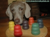 Hunde-Solit�r, � 29 cm, 7 Cups
