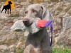 Bei�wurst mit Kaninchen-Fell, ca. 30cm
