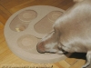 Doggy Brain Train 2in1, 32cm