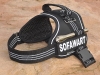 Equest 4 Dogs Premium Logo-Geschirr, Gr��e XXL, Schwarz