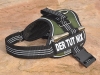 Equest 4 Dogs Premium Logo-Geschirr, Gr��e XL, Olivgr�n