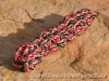 Baumwollbringsel, geknotet, 20cm x 3,5cm