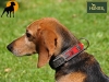 Hunter Filz-Halsband Bavaria, 50cm