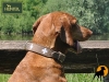 Hunter Filz-Halsband Switzerland, 50cm, braun