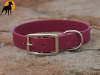 Biothane BETA Halsband 35cm x 19mm, Weinrot
