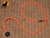 Biothane Beta Coated Rope Moxon Kurzleine 100cm x 6mm