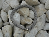 G2 Halsband Basic 12mm, Rehgrau
