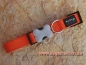 Preview: Red Dingo Halsband 12mm, orange