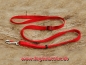 Preview: Feltmann Vario-Schlauchbandleine 20mm, Rot