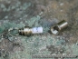 Preview: Design-Adressanhänger Stick, Metall