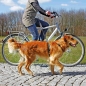 Preview: Trixie Fahrrad- und Joggingleine, mit Ruckdämpfer, 25mm x 100 - 200cm