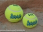 Preview: Kong Airdog Squeakair Tennis Balls im Netz, mit Squeeker