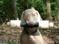Preview: Apportierbock 1500gr. , Mittelteil 24cm