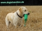 Preview: TOP ANGEBOT !!!! Canvas Retriever Dummy 500gr., schwimmfähig