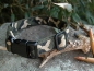 Preview: SUCHtrupp Halsband Jungle, 30-40cm Halsumfang