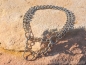 Preview: Kettenhalsband Edelstahl 2-rhg., zugbegrenzt, 45 cm