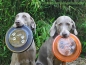 Preview: Dog Activity Sport Disc ø 19cm, bissfest