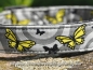 Preview: Halsband Butterfly, 25mm x 40-65cm mit Zugentlastung