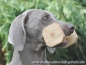 Preview: Obedience Holzapportel Gr.1, 150gr., 12cm