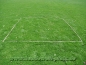 Preview: Boxenband für Obedience Granat, 3,16m x 3,16m