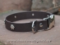 Preview: HWP Biothane Halsband Edelweiß 25mm, mit Alu-Verschluß