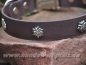 Preview: HWP Biothane Halsband Edelweiß 25mm, mit Alu-Verschluß
