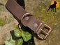 Preview: HWP Biothane Beta Antik Halsband 25mm x 60cm, Dunkelbraun