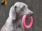 Preview: Moosgummiring 16cm, schwimmfähig