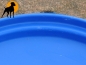 Preview: Kautschuk-Frisbee Softflyer, 20cm