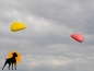 Preview: West Paw Frisbee Flying Thing, 20cm