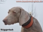 Preview: Niggeloh Schweißhalsung, Signalorange