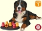 Preview: Dog Activity Brettspiel Solitär