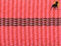 Preview: Halsband Nylon Muster AluMax, Orange