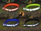 Preview: Biothane Reflect Halsband Sport 19mm