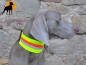 Preview: ZanTex Hundeschutzband 44/7cm dehnbar, Signalgelb