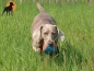 Preview: Nylon Outdoor-Spielball mit Wurfschlaufe, 15cm