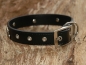 Preview: Lederhalsband "Dogs & Bones", Schwarz