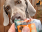 Preview: Hubertus Gold Frischfleisch-Snack Jagd Energy 85g