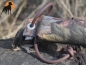 Preview: Biothane Coated Rope Dummy Wurfkordel 8mm x 50cm