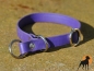 Preview: Biothane Beta Halsband Sport 13mm