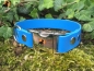 Preview: HWP Biothane Beta Maßhalsband 25mm mit Alu-Verschluß