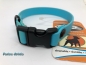 Preview: HWP Biothane Beta Maßhalsband FUN 16mm, mit Wienerlock PVC Verschluß