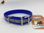 Preview: Biothane Reflect Warnhalsband Basic, Breite: 19mm