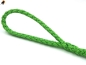 Preview: Tauwerk Agility & Retrieverleine G2 Classic 150cm, rund geflochten, Apple