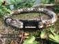 Preview: Tauwerk Maßhalsband G2 mit Metallverschluß schwarz, 20mm, Gravur möglich