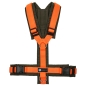 Preview: annyX Brustgeschirr Fun, oliv/orange
